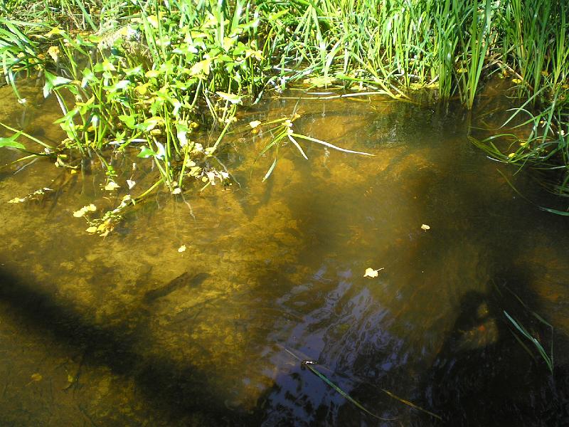 rowtras 020.jpg - c.d